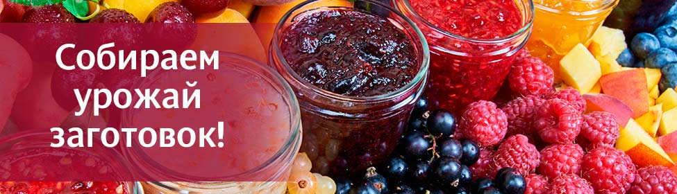 Сохраним вкус и пользу урожая с правильной техникой!