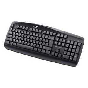 Клавиатура Genius KB-110 Black USB