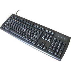 Клавиатура Chicony KB-2971-BL Black PS/2