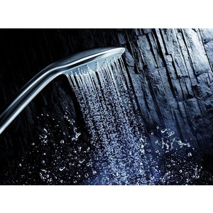 Душевая лейка Grohe Euphoria pure (27223000)