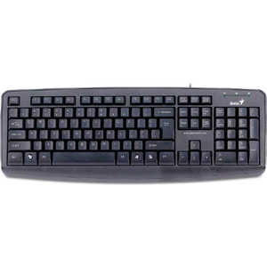 Клавиатура Genius KB-110X Black USB