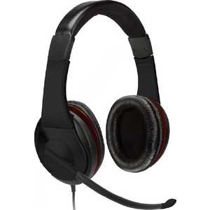 HP Premium Digital Headset (H2C25AA)