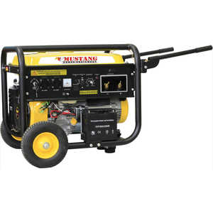 Генератор Mustang CGW210E2 Генератор Mustang CGW210E2