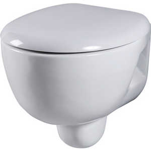 Унитаз Am.Pm Tender подвесной (C451738WHI)