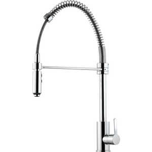 Смеситель для кухни Am.Pm Tender (F4672000)