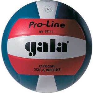 Мяч волейбольный Gala Pro-Line Colour (BV5211L), размер 5, цвет бело-сине-красный