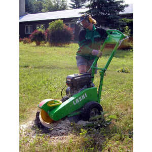 Измельчитель Laski F350/650-GX390S