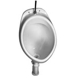 Писсуар Ideal Standard Ecco (W390501)