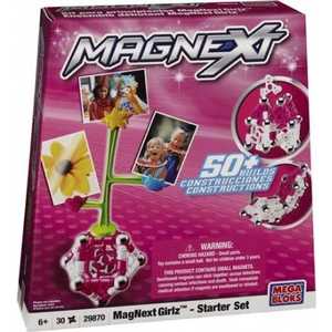 Mega Bloks Магнитный конструктор Magnext Girlz 29883 (29870, 29913)