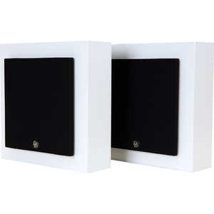 Настенная акустика DLS Flatbox Midi, white low gloss
