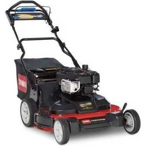 Газонокосилка бензиновая Toro 20199