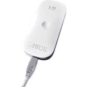 Полочная акустическая система Canton your_world STICK, white/silver