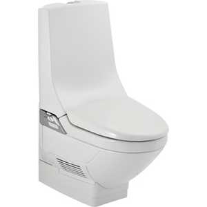 Geberit 250.055.11.1 GEBERIT Фаянс для Aquaclean 185.100.11.1