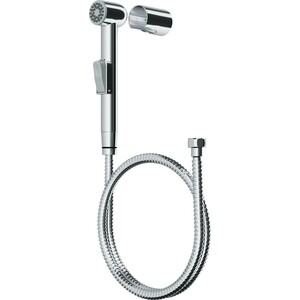 Гигиенический комплект Am.Pm 1500 мм (F0202000)