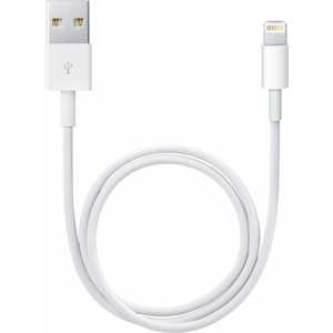 Apple ME291ZM/ A Lightning to USB cable
