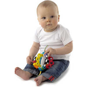 Playgro Игрушка развивающая 4082426