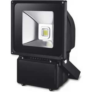 Прожектор светодиодный X-flash XF-FL-B-80W-6500K Артикул 45273