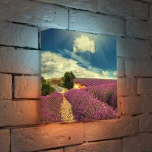 FotonioBox Лайтбокс Цветущие поля 25x25-034
