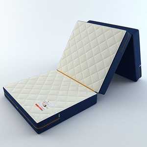 Матрас-трансформер Roll Matratze Vizitor 9 70x195