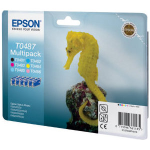 все цены на Картридж Epson C13T04874010 онлайн