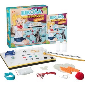 Набор для творчества Bondibon Школа дрессировки Кошки (ВВ1438)