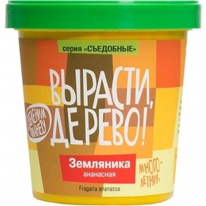 Набор для выращивания Вырасти Дерево Земляника ананасная (zk-038)
