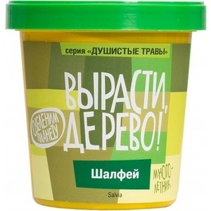 Набор для выращивания Вырасти Дерево Шалфей (zk-033)