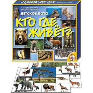 Лото Десятое Королевство Кто где живет (82)