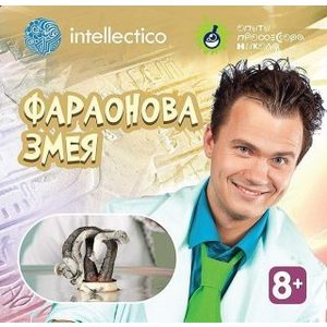 Конструктор Десятое Королевство для уроков труда (852)