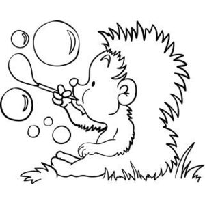 Набор для творчества Color Puppy Ежик (63888)