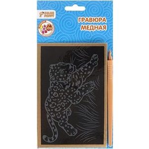 Наборы для творчества Color Puppy Гравюра медная (95244)