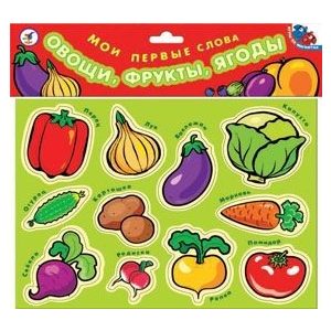Развивающая игрушка ДРОФА Мои первые слова (1318)