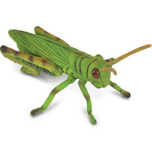 Игрушка Collecta Кузнечик (88352b)
