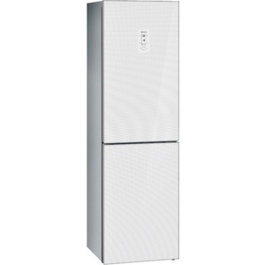 Холодильник Siemens KG 39NSW20R
