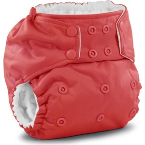 Многоразовый подгузник Kanga Care Rumparooz Onesize Spice (784672405737)