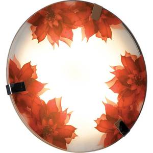 Настенный светильник Lussole LSN-5252-01