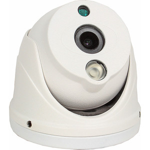 IP-камера Falcon Eye FE-ID1080AHD/10M