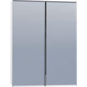 Зеркальный шкаф VIGO Grand (№4-550) 55х14х70