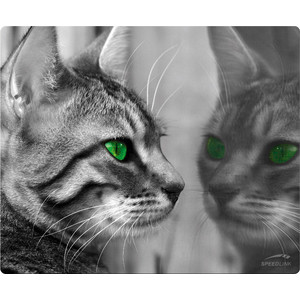 все цены на Коврик для мыши Speedlink SILK Cat онлайн