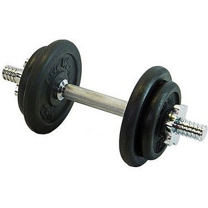 Гантель Lite Weights 4542LW сборная 9.43 кг