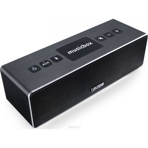все цены на Портативная колонка Canton Musicbox XS titan онлайн
