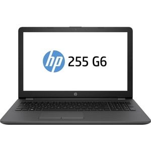 где купить Ноутбук HP 255 G6 (1WY10EA) по лучшей цене