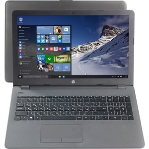 все цены на Ноутбук HP 255 G6 (1XN66EA) онлайн