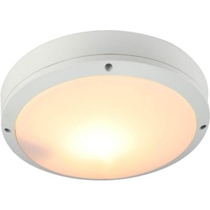 все цены на Уличный потолочный светильник Artelamp A8154PF-2WH онлайн