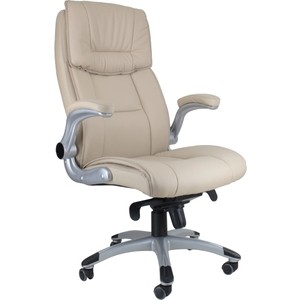 Кресло Стимул-групп CTK-XH-7002 MB beige 004 от ТЕХПОРТ Кресло Стимул-групп CTK-XH-7002 MB beige 004 от ТЕХПОРТ